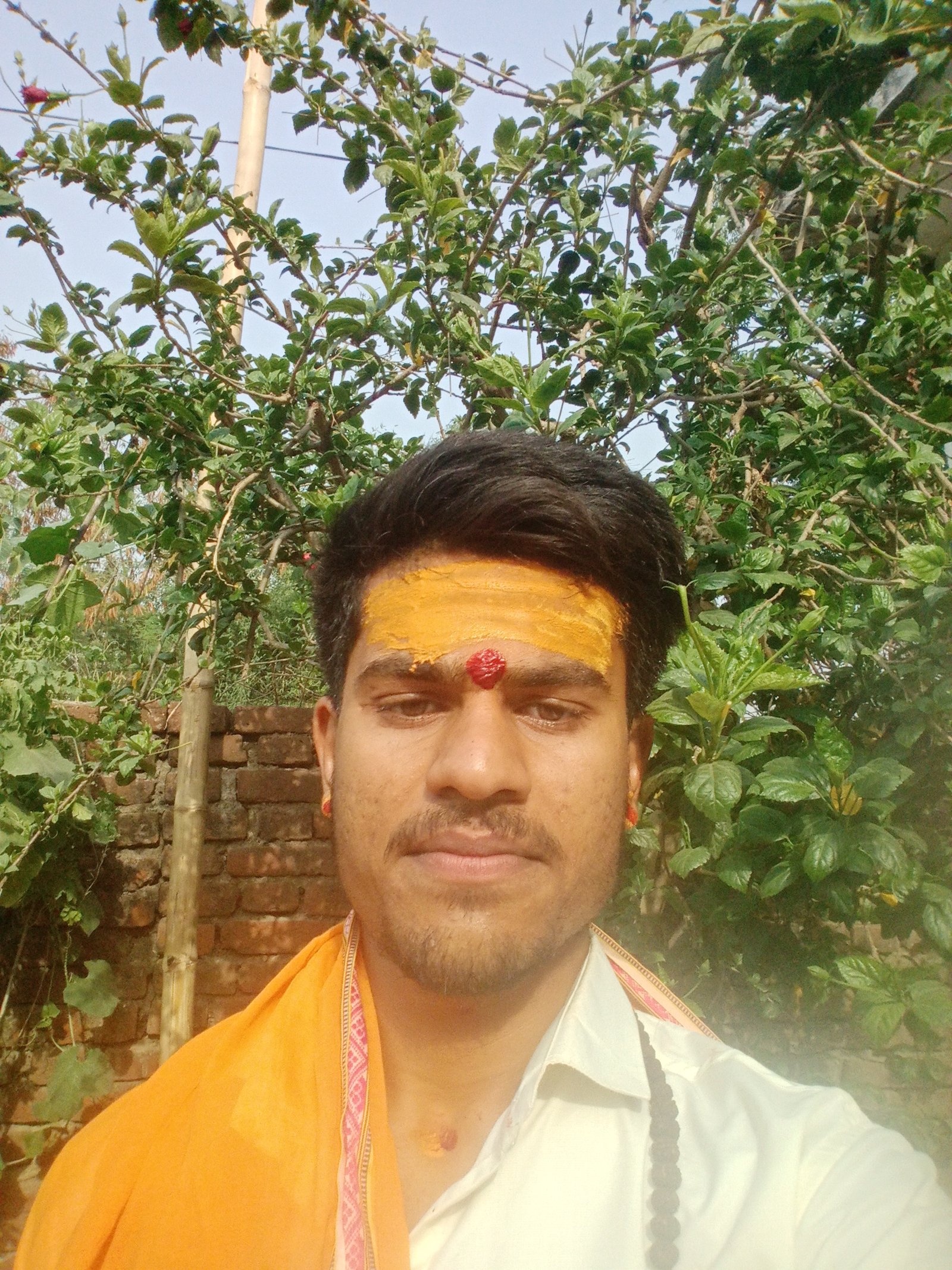 team image